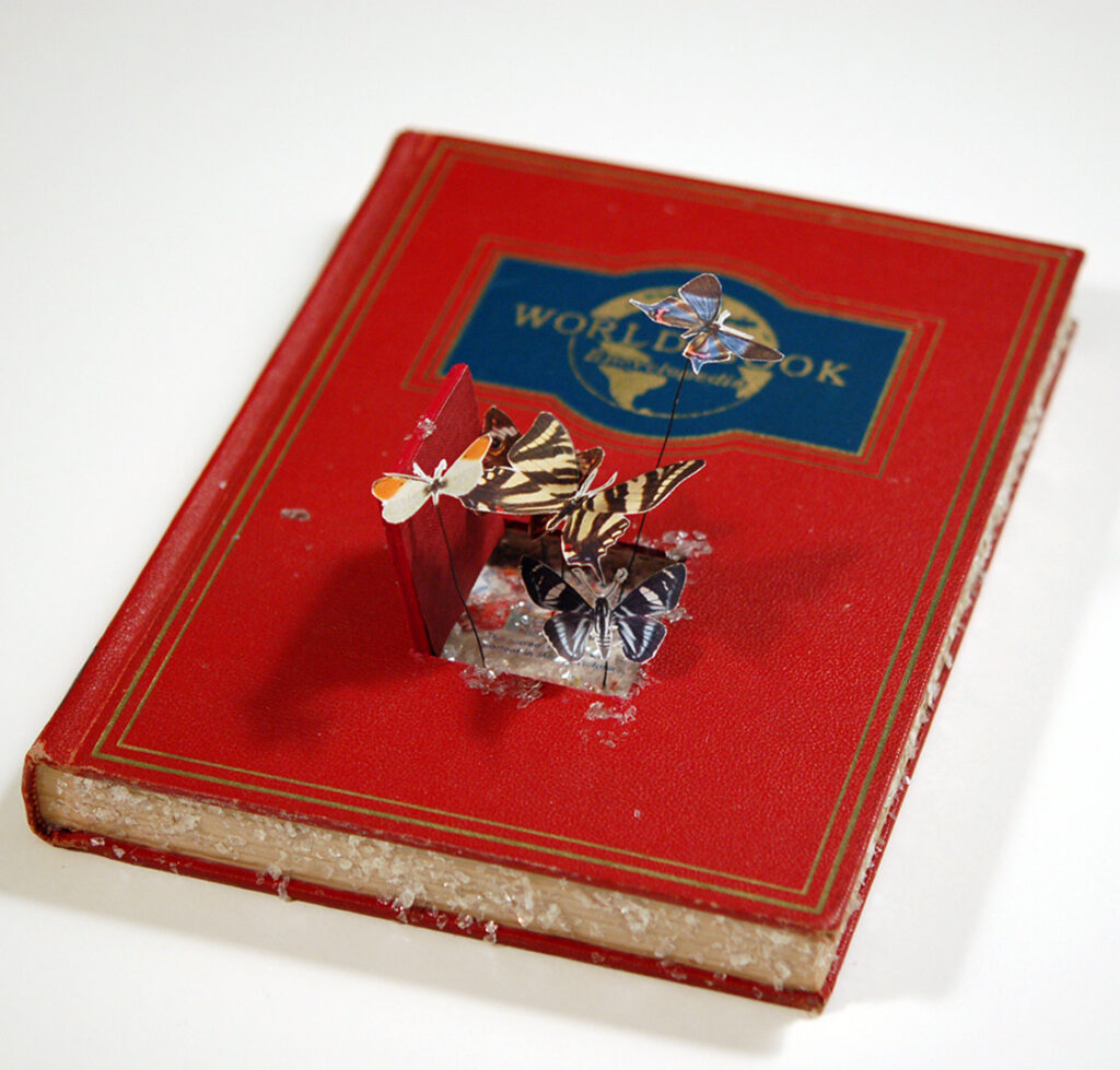 World Book I (Insects, Ice) by Adrienne Stalek